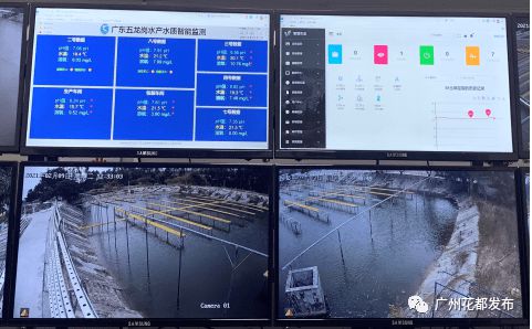 數(shù)字賦能 花都開(kāi)啟現(xiàn)代農(nóng)業(yè)4.0時(shí)代，互聯(lián)網(wǎng)銷售引領(lǐng)產(chǎn)業(yè)新變革